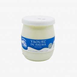 Yaourt nature de brebis
