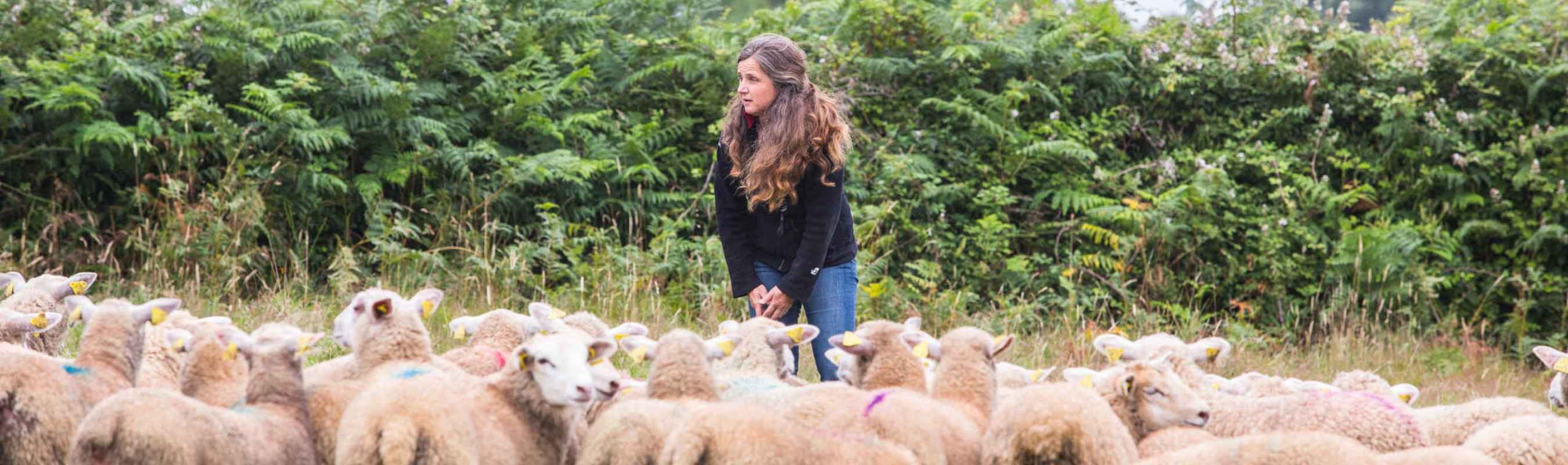 Découvrez tous les produits de la Ferme